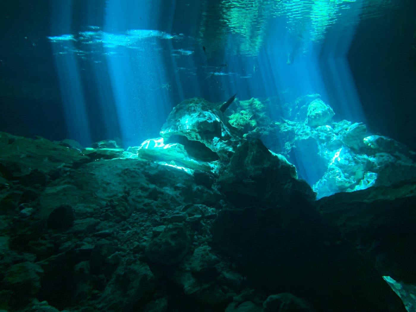 Sunlight falling through an opening into a flooded rock cave
